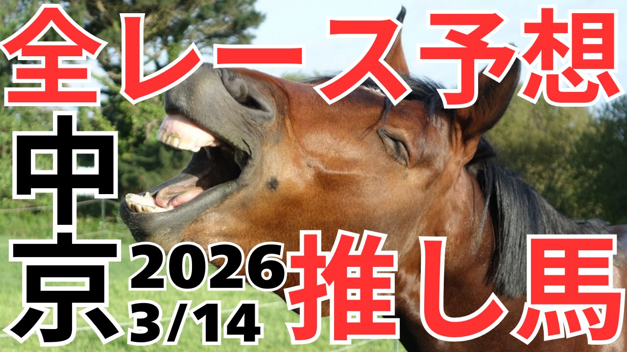 全レース予想