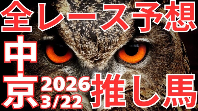 全レース予想