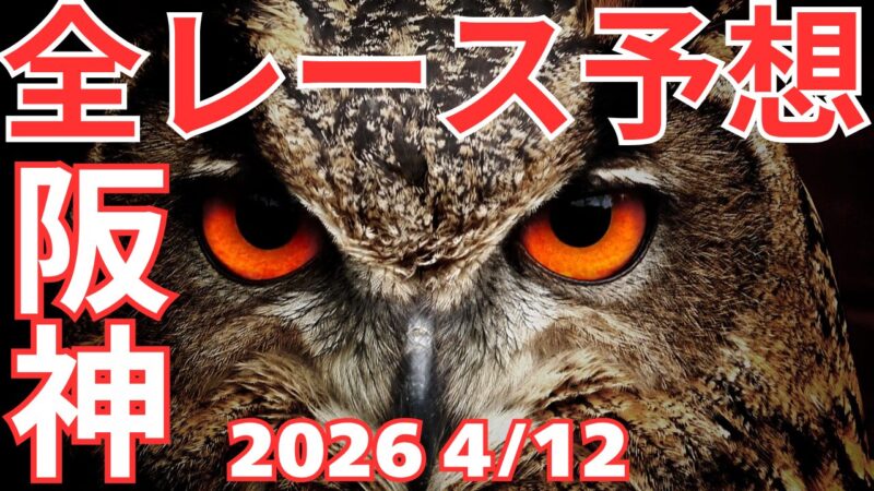 全レース予想