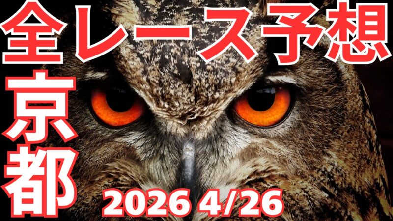 全レース予想