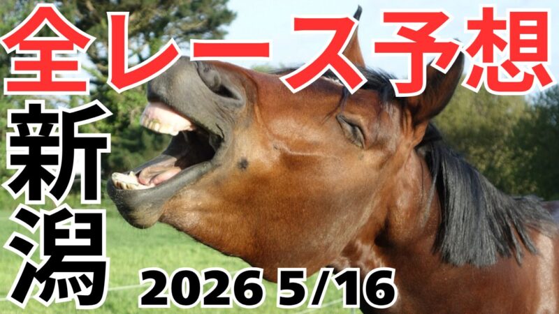 全レース予想