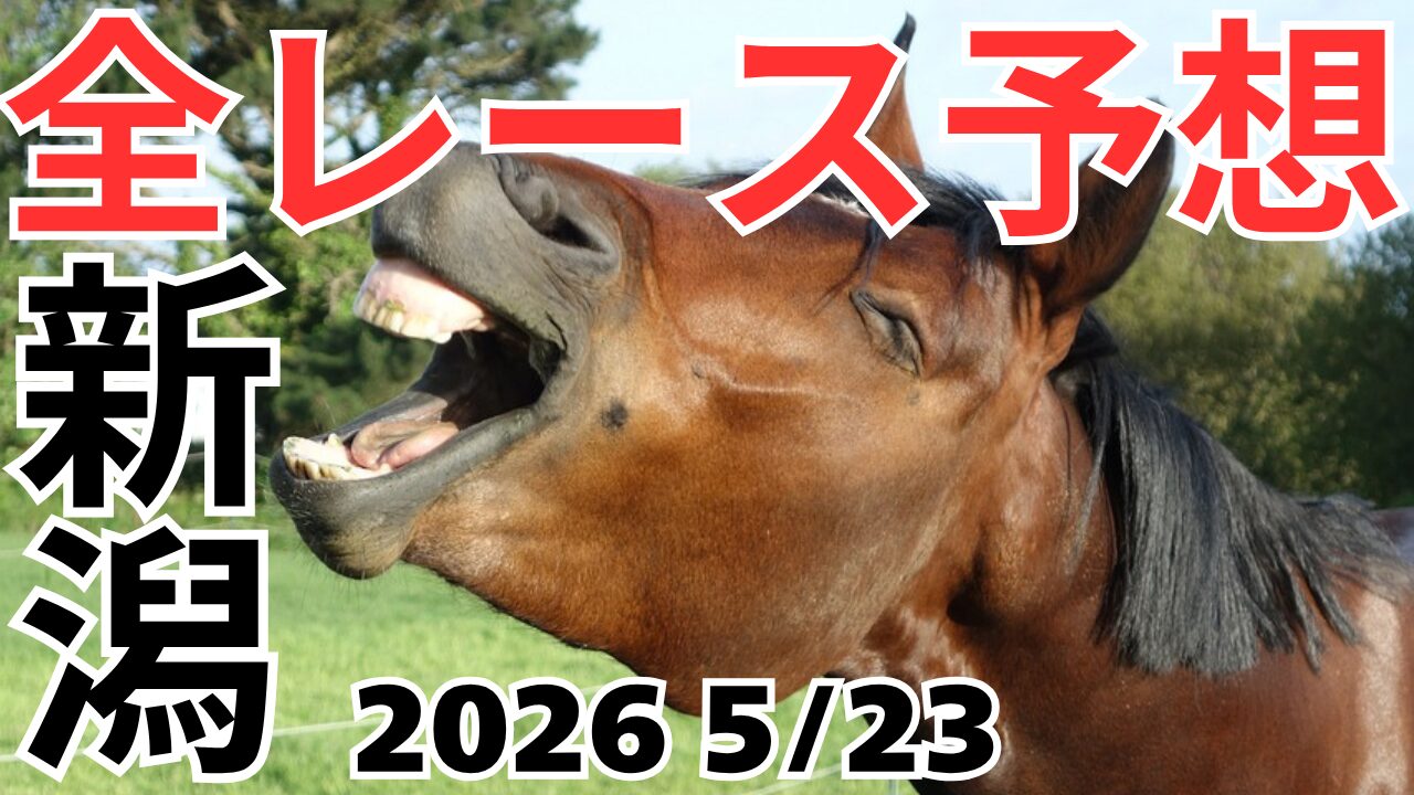 全レース予想